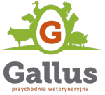 Gallus - Przychodnia Weterynaryjna